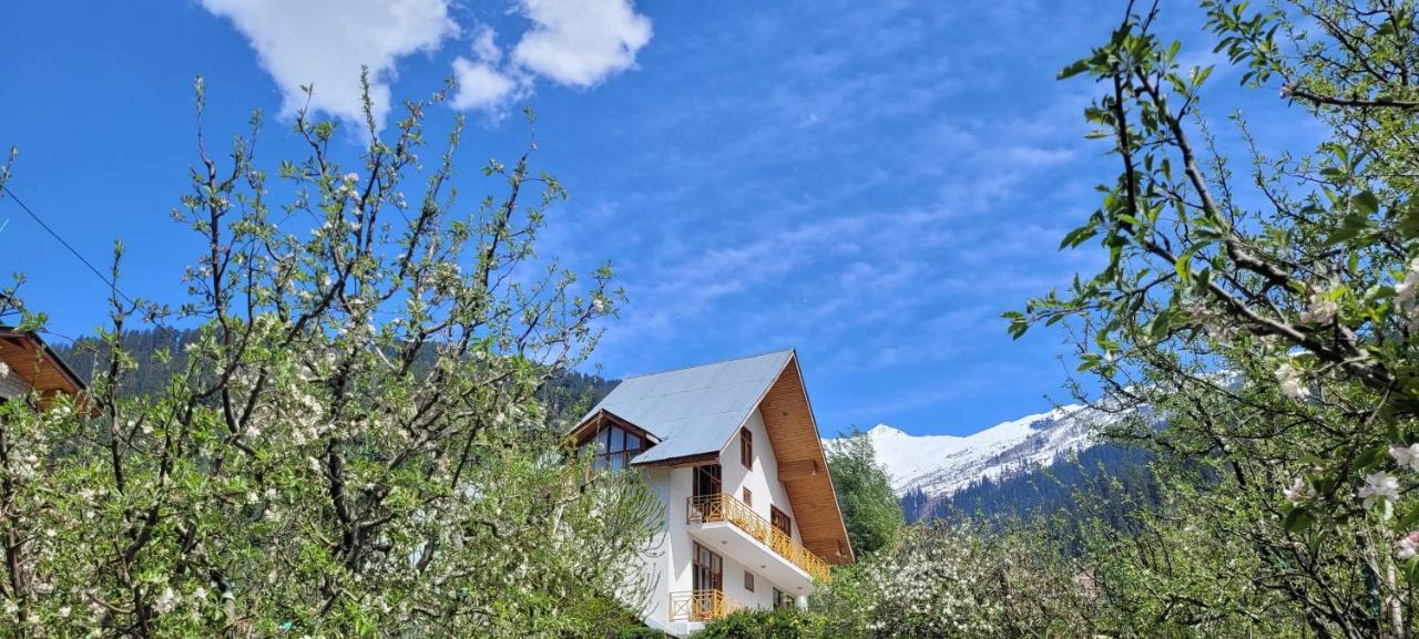 The Wooden Chalet, Manali Exterior foto